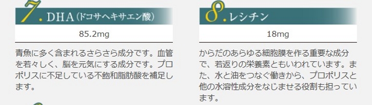 �v���|�U�C��